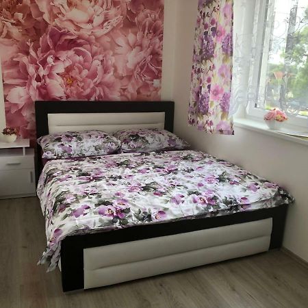 Apartman Na Lukach - Kopretina Třeboň Εξωτερικό φωτογραφία